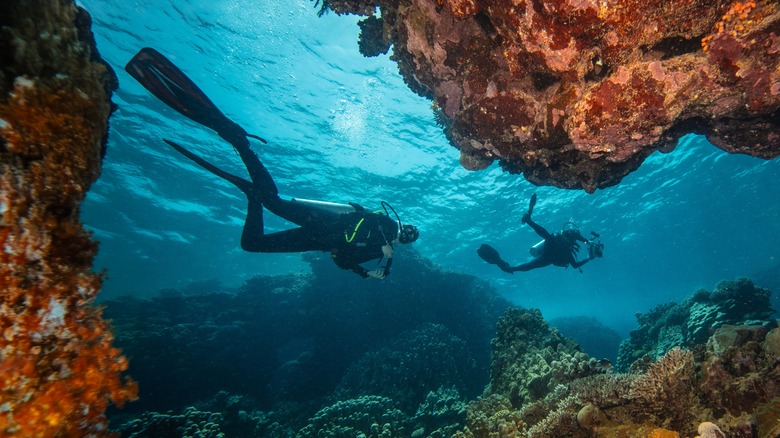 Two people scuba diving underwater