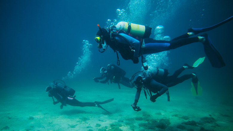 Group of scuba divers underwater