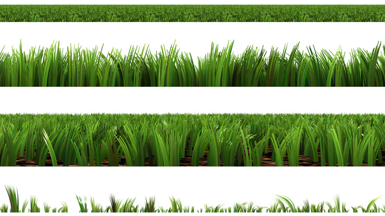 Graphic showing different types of grass cuts
