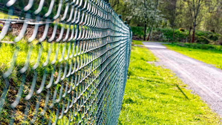 chain-link fence grass road