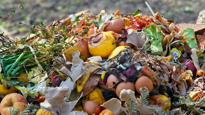 compost pile ground