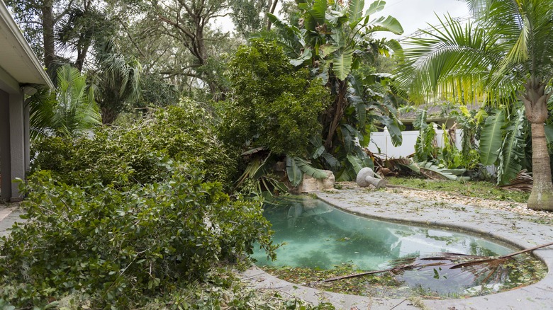 Swimming pool after hurricane