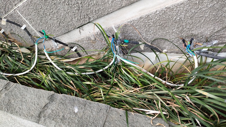 Unsafe electrical installation in planter
