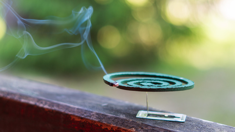 Burning incense coil
