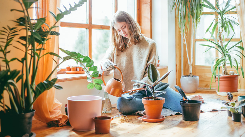 Woman watering potted plants indoors