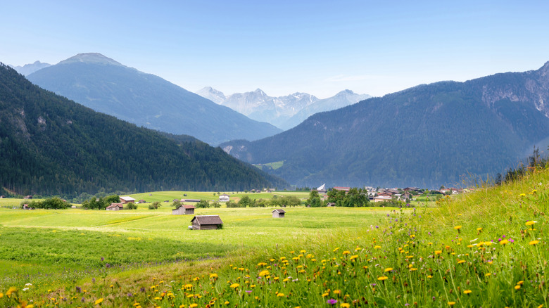 Fields in the Alps dotted with cabins