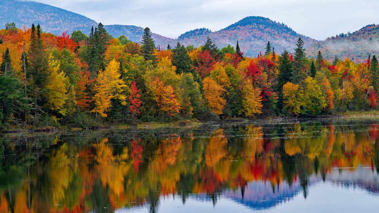 White Mountain National Forest in the fall with foliage reflecting on lake