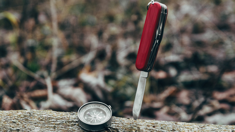 Pocket knife and a compass