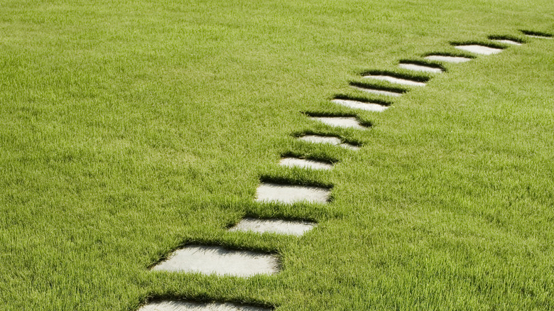 Paver stepping stones on lawn