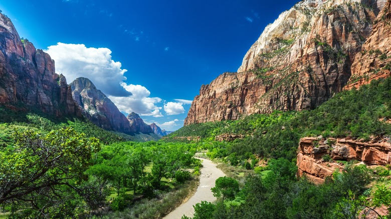 Trail at Zion National Park 