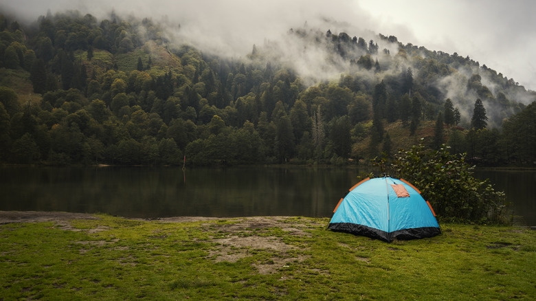 Camping on a misty mountain scene 
