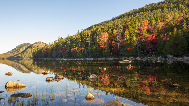Fall scenery at Acadia National Park