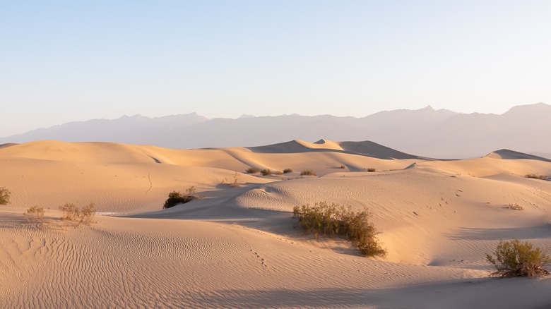 Sand dunes at Great Basin National Park