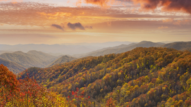 Fall foliage and skies over Great Smoky Mountains 
