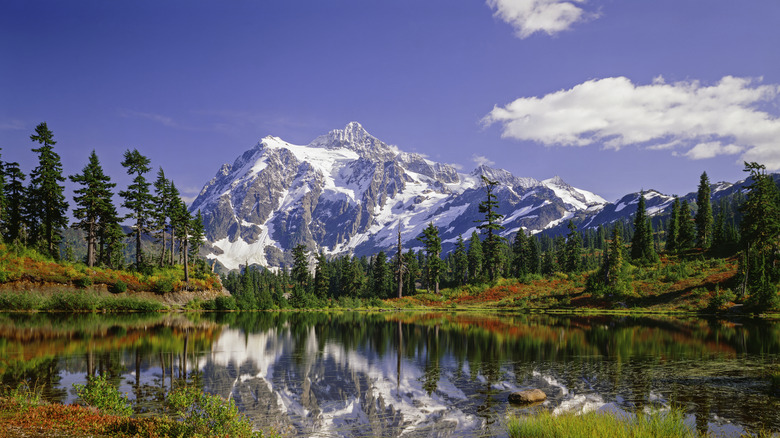 Scenery at North Cascades National Park