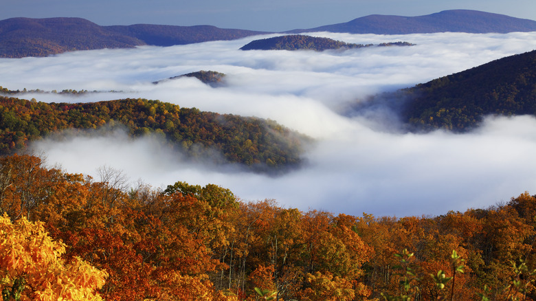 Fall foliage and clouds at Shenandoah National Park