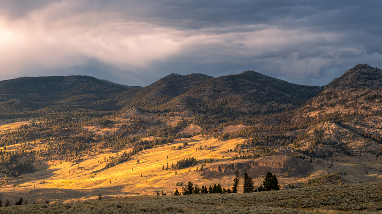 Yellowstone National Park landscape