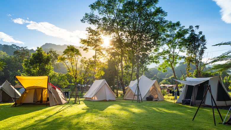 Tents at campsite