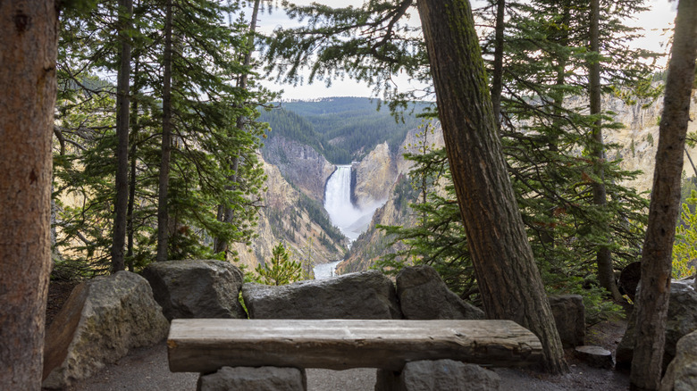 Upper Falls Yellowstone National Park