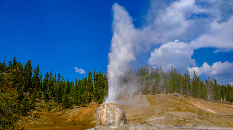 Lone star geyser Yellowstone National Park