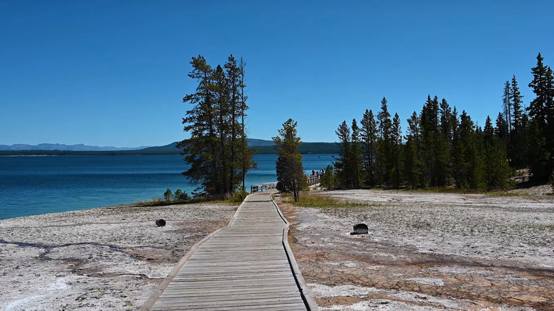 Thumb Geyser Yellowstone lake boardwalk