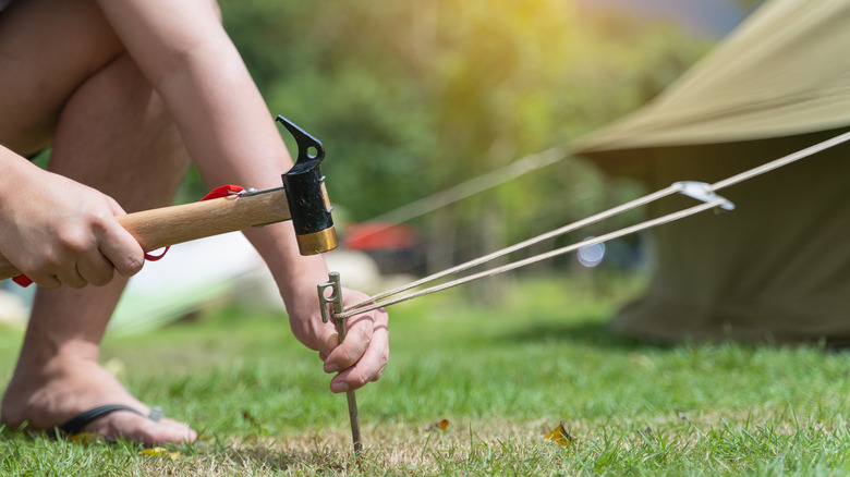 Someone hammering tent stakes into the ground covered in green grass