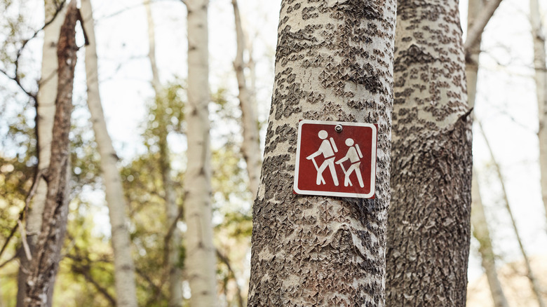 Hiking trail sign on tree