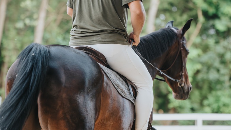 A person riding a horse.