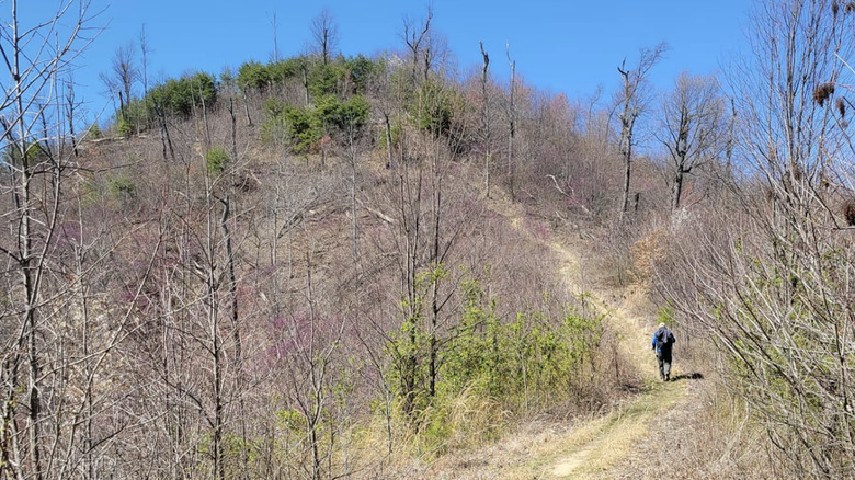 Hiker on the Knobstone Trail in Indiana