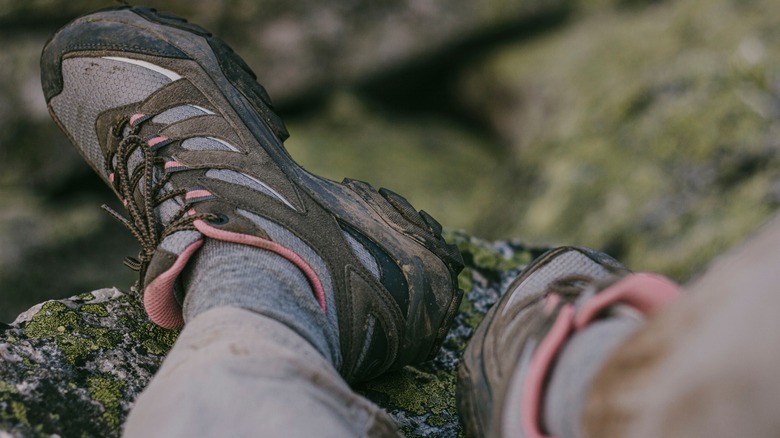 Hiking shoes resting on a mossy rock