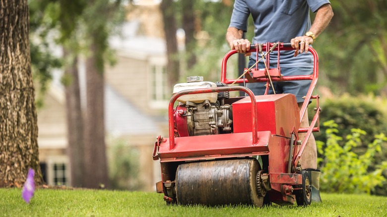 Person using aerating machine on lawn