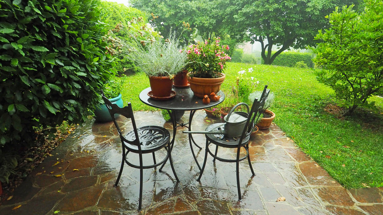 Patio and yard on a rainy day