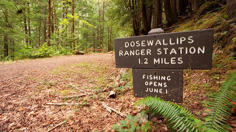dosewallips entrance at olympic national park