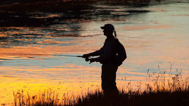 fishing at sunset in yellowstone national park