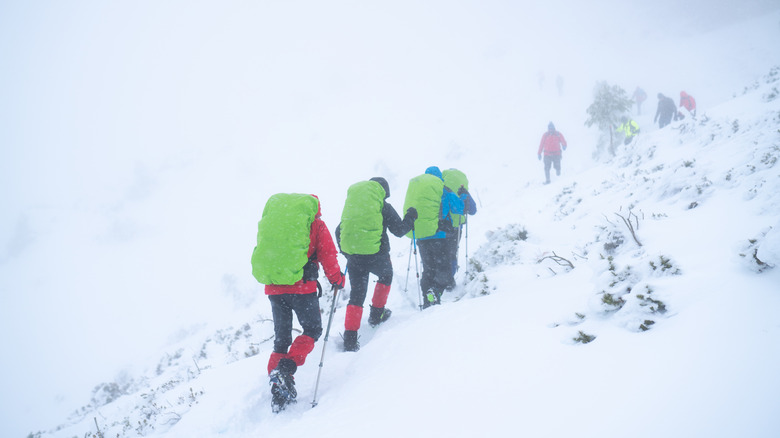 Alpinists trekking in snow and fog