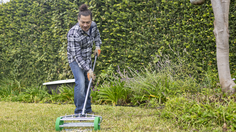 Man using a rolling aerator in a garden with green grass lawn