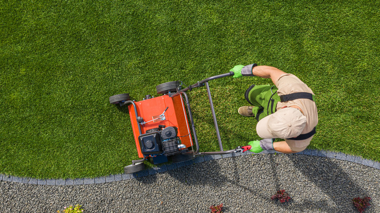 Man using lawn aerating machine, aerial view