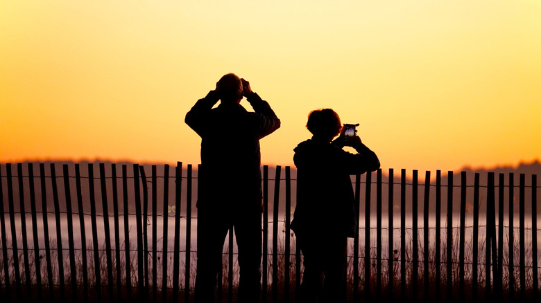 Couple watching for birds at sunset