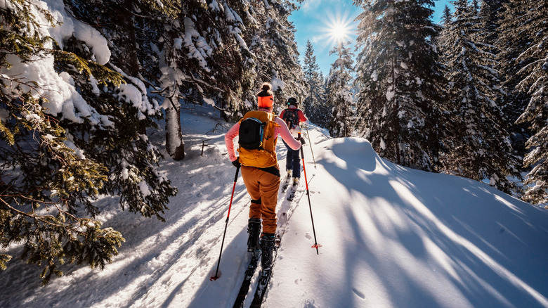 People cross country skiing