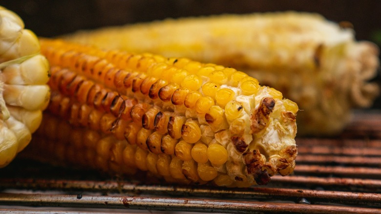 Cooked corn on grill