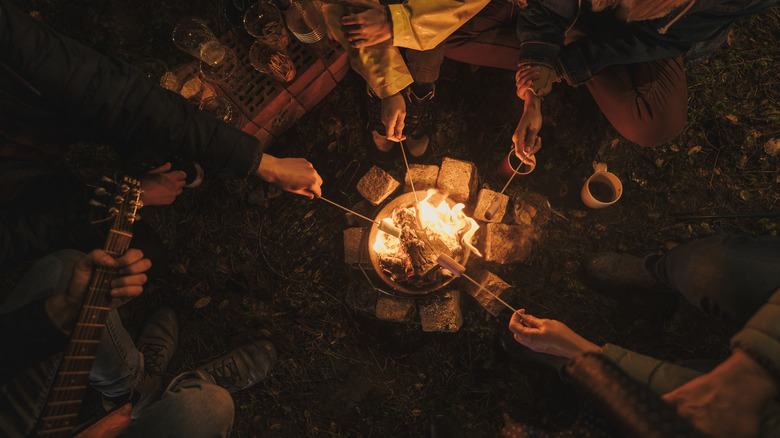 Group of friends sitting around the camp fire