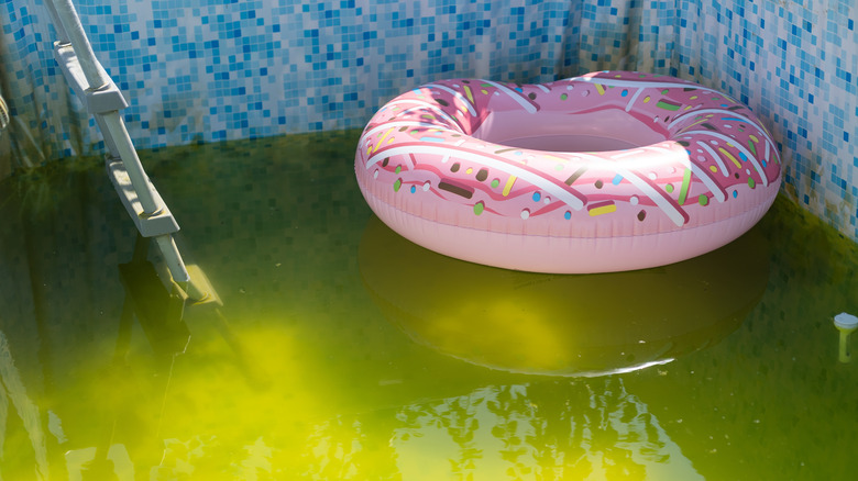 A green half-filled pool with a ladder, and a donut tube inside