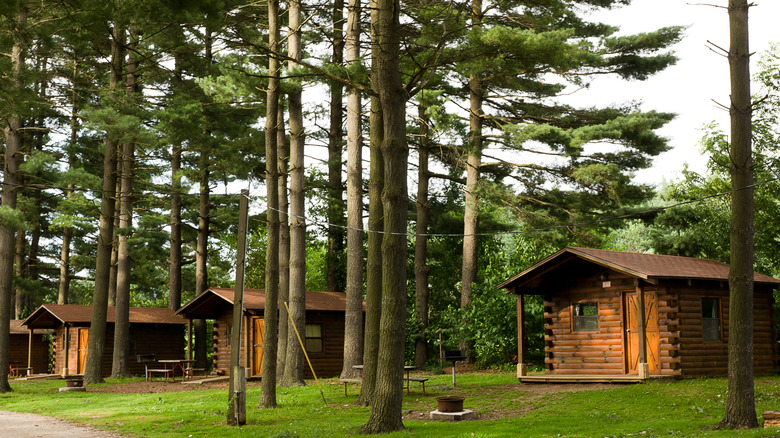 row of cabins in forest