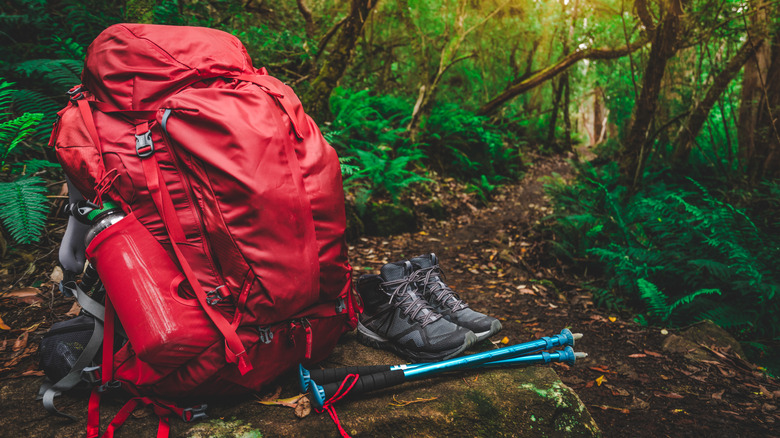 backpack and hiking boots in the woods