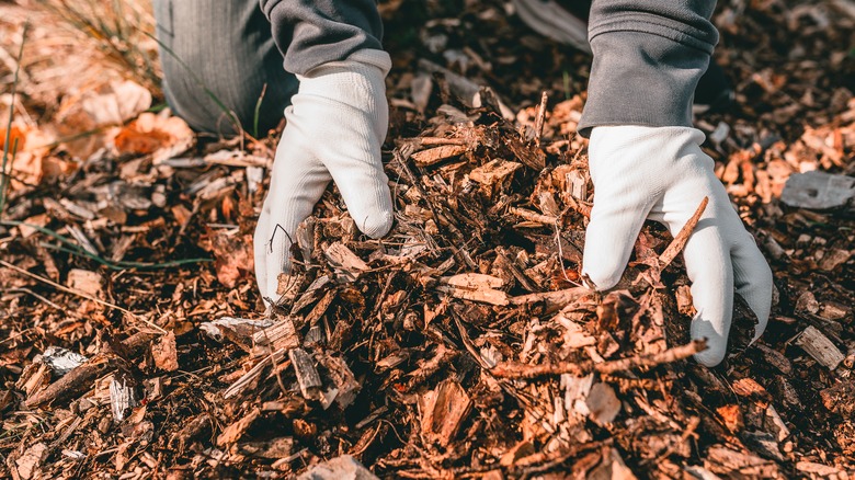 Gloved hands grabbing a pile of mulch