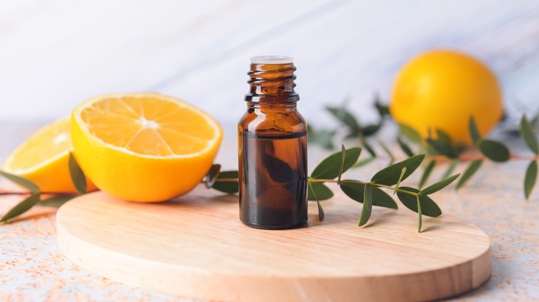 Lemon eucalyptus next to oil jar