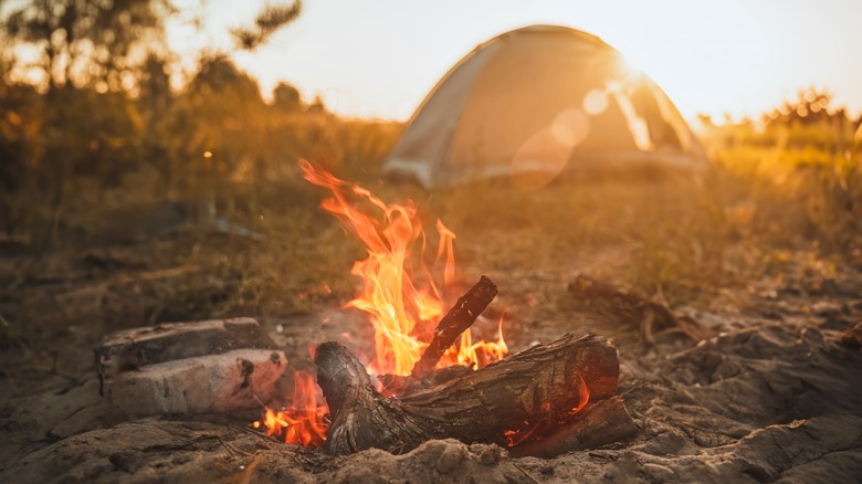 Campfire near a tent in the morning