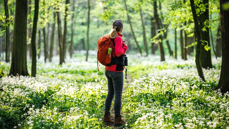 Female hiker in the middle of woods