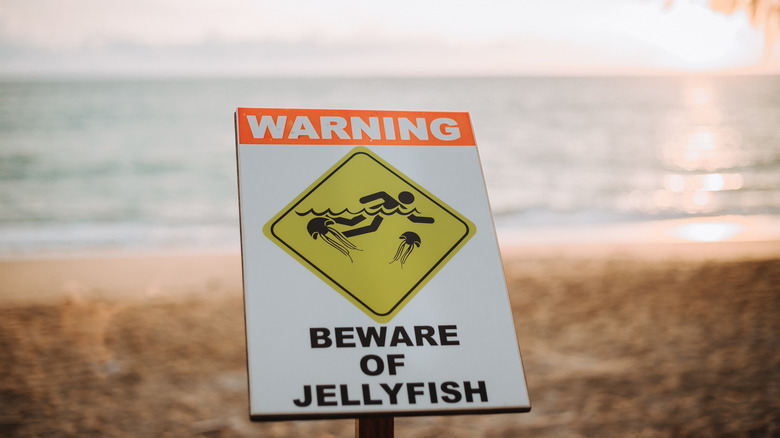 Jellyfish warning sign on the beach