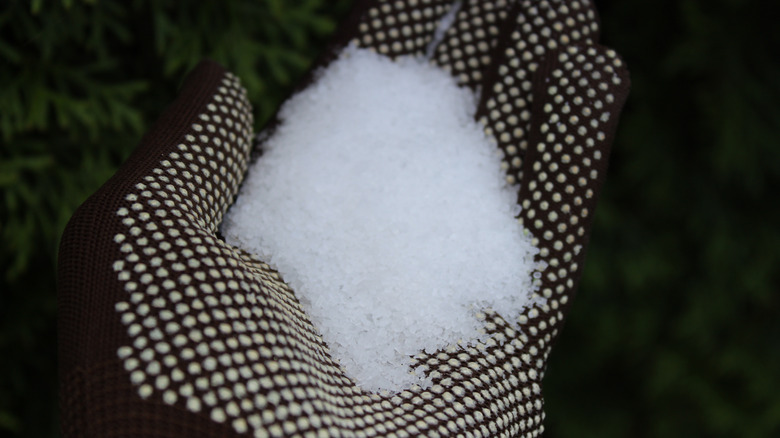 Epsom salt on a gloved hand